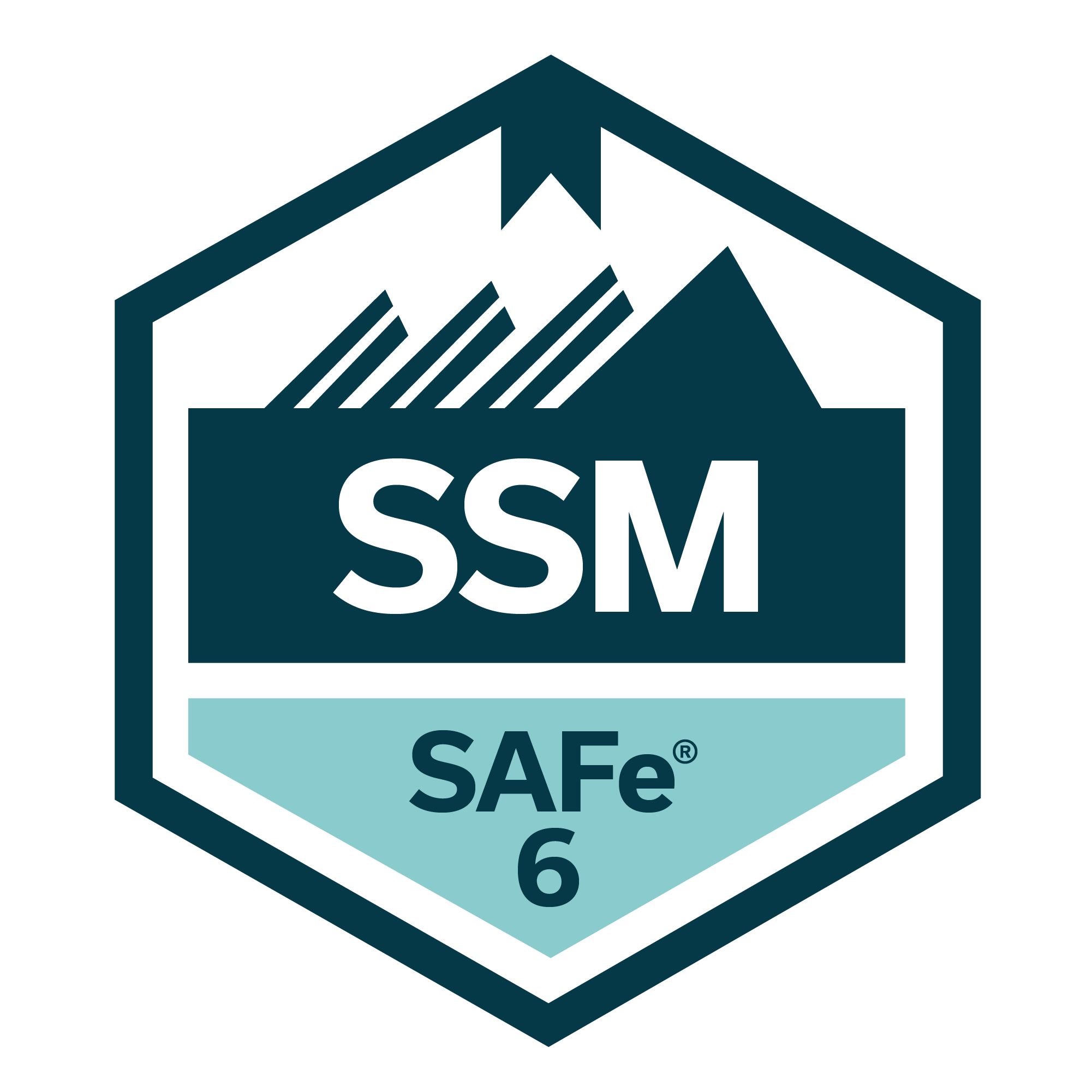 Professional Scrum Master 1
